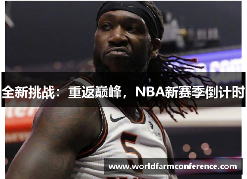 全新挑战：重返巅峰，NBA新赛季倒计时